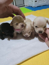 Фото користувача Angeles09