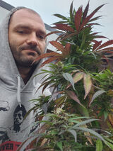 Фото користувача soltysiakkrzyszt25