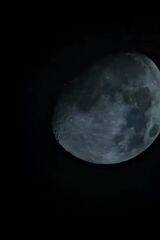 Zdjęcie użytkownika alienslough