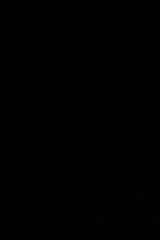 Fotka uživatele pawelekadam93