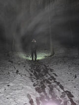 Фото користувача BiernaczykL