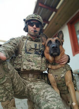 Benutzerfoto masterhusbygg