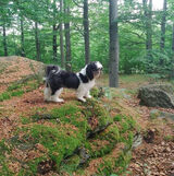 Zdjęcie użytkownika tomaszwalewacz91