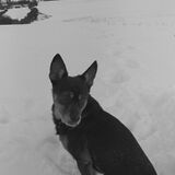 Foto pengguna Andrzej2725