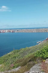 Фото користувача Andrzej040