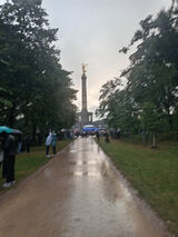 Benutzerfoto andrzejlipski2941