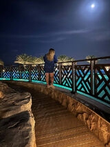 Zdjęcie użytkownika Ann32