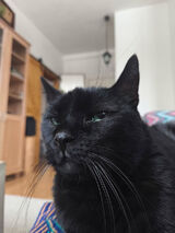 Foto pengguna maryanmp46