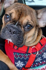 Benutzerfoto AgaAgusia1997