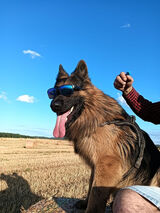 Foto pengguna matiu3504