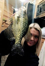 Photos felicitywifey859