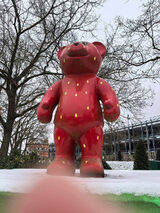 Фото користувача KopiecAg