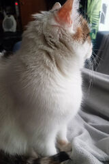 Фотография пользователя Wodniczka75