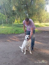 Benutzerfoto MichalSiedlecki180