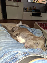 Fotos stefanek230786