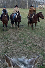 Zdjęcie użytkownika Nojek