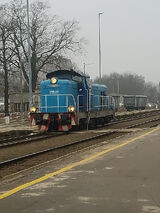 Фотография пользователя Semakoj