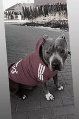 Foto utilizatorului Skandalistka