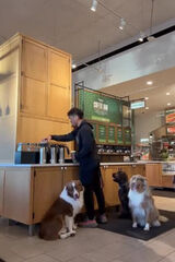 Benutzerfoto mikejoon856