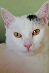 Fotka uživatele KlaudiuszZX