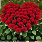 Benutzerfoto MariuszMatczak