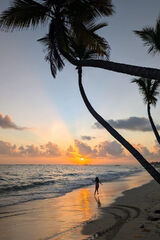 Foto utilizatorului martinnooo