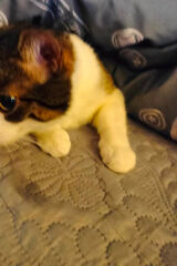 Foto utilizatorului bubeczka1