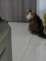 Фотография пользователя marcinek213213