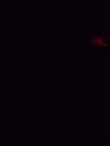 Photos hamedhasan541