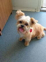 Fotos kusmierekroland14