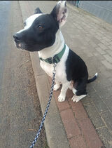 Фото користувача kadar0094