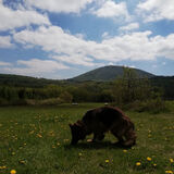 Zdjęcie użytkownika Bartek1bartolini