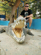 Фотография пользователя SimonSi