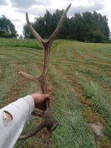 Foto pengguna Topdance