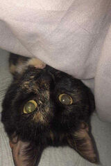 Zdjęcie użytkownika krystianpoch00