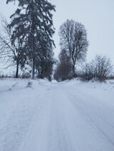 Fotos patryktruszczyns48