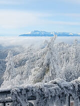 Zdjęcie użytkownika Gacus0992