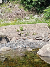 Foto pengguna kristofkris2701198