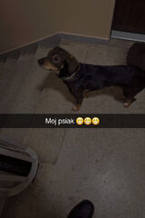 Zdjęcie użytkownika robertt2204