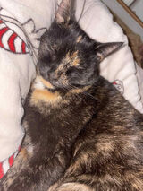 Zdjęcie użytkownika Krystian20033