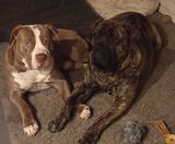 Фотография пользователя Sebastian851