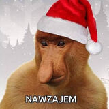 Фото користувача fabian642