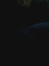 Fotka uživatele Kuba2005Wwa