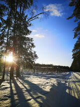 Fotka uživatele PrzemekBV6