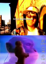 Фотография пользователя PolishmewhoyA