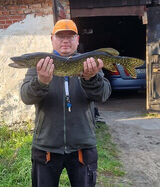 Zdjęcie użytkownika pudzian1231