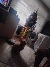 Zdjęcie użytkownika misiek26291988