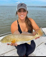 Fotka uživatele jshdhdhhe262