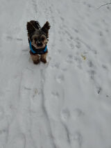 Zdjęcie użytkownika karina67