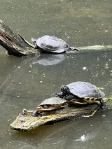 Benutzerfoto Piotr38l